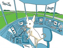 Chihuahua in a control tower