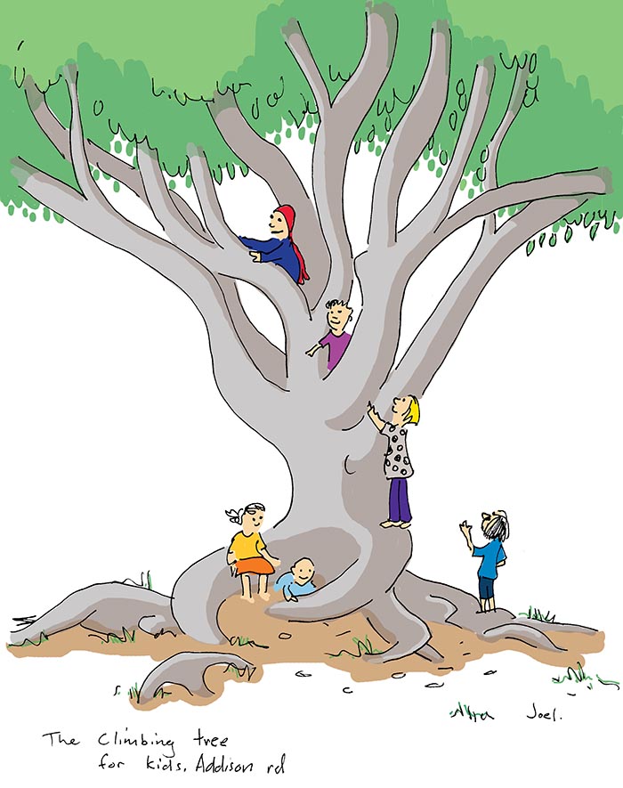 Can you climb a tree. Картинка для детей Climb Trees. Climb a Tree for Kids. Climb рисунок. Kids Climbing Tree.