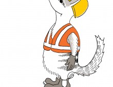 A numbat in a hardhat